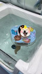 -熊小米专业儿童游泳馆