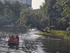 -晓港公园