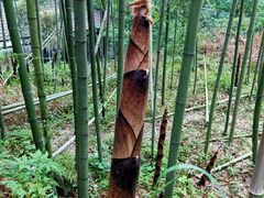 -藏龙百瀑风景区