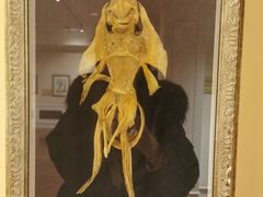 -信不信由你博物馆