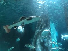 -福州罗源湾海洋世界旅游区