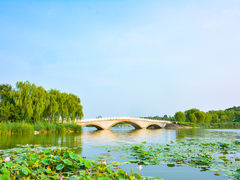-南海子公园