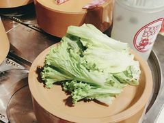 -龍歌自助小火锅(崂山丽达店)