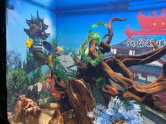 -烟台海昌鲸鲨海洋公园