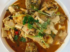 -煲来饱去冷水鱼