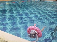 -青岛富力艾美酒店