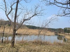 -同里国家湿地公园