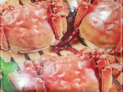 -蟹天蟹地农家菜·阳澄湖大闸蟹(浅水湾店)