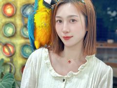 -吉丁鸟咖·异宠·寄养