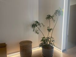 -Real Pilates优体普拉提