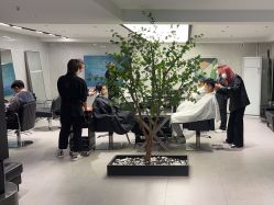 -付军剪艺JF ProSalon