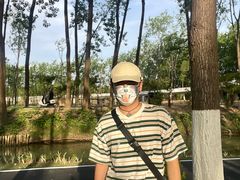 -合肥滨湖国家森林公园