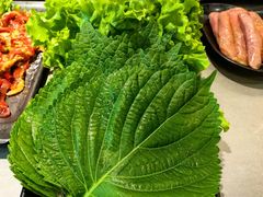 -啊美丽炭火烤肉(滑翔一店)