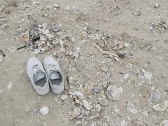 -汕尾风车岛