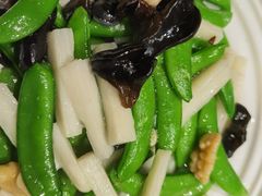 -老阿妈蒙古村·蒙古包·草原文化·歌舞表演(老君堂店)
