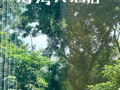 -海湾壹品·粤菜·早茶·烤鸭(拱北店)