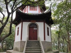 -上海佘山国家森林公园天马山园