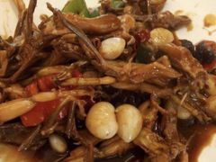 鸭舌烧田鸡-善银私房菜馆(金舟花园小区店)