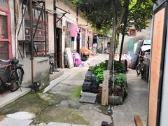 -东关街美食广场