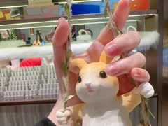 -海底捞火锅(龙岗星河COCO Park店)