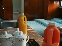 -崇明东平国家森林公园烧烤房车露营地