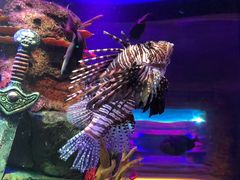 -沈阳海洋探索中心