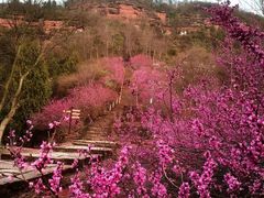 -天台山赤城山景区
