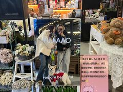 -京北渔家傲