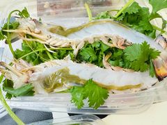 -金砂阿洲鱼册店