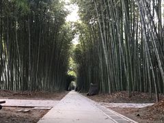 -上海市龙华烈士陵园