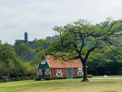-南沙天后宫景区