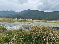 -腾冲北海湿地