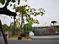 -枫香湖儿童公园