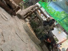 -灵玲国际马戏城
