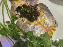 -苏大嘴蒸汽海鲜·海胆蒸饺(中山广场店)