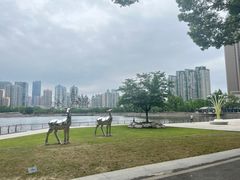 -西北湖绿化广场