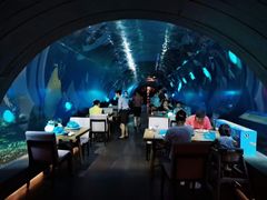 大堂-海棠湾洲际-涛·海底餐厅·美人鱼·自助餐·海底隧道