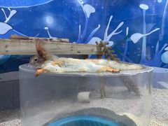 -海合安青岛极地海洋公园