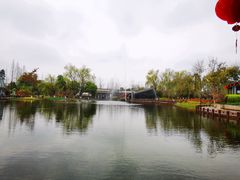 -成飞公园