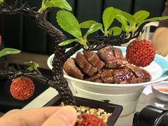 -椿记烧鹅(叠彩店)