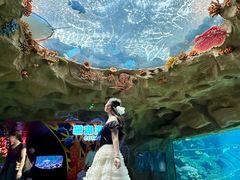 -南昌融创海世界