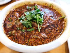 -曾牛肉