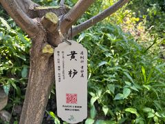 -香山公园