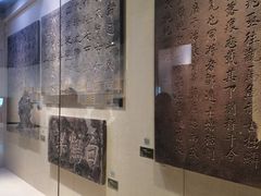 -白鹤梁水下博物馆