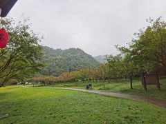 -五泄景区