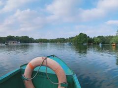 -上海共青森林公园