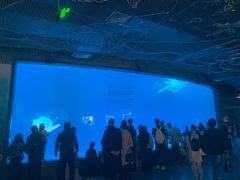 -海合安成都极地海洋公园