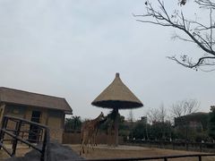 -南昌动物园