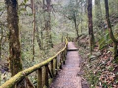 -龙苍沟森林公园