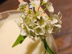 -Catail前苑(前门大街店)